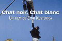 Черная кошка, белый кот