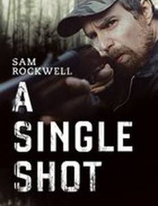 Единственный выстрел