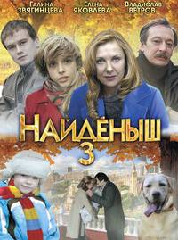 Постер Найденыш 3 (мини-сериал)