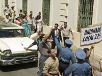 Кадр Ромовый дневник