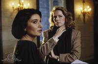 Кадр Розовый сад