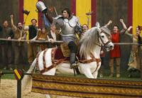 Кадр Мерлин