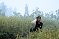 Кадр Небо и земля