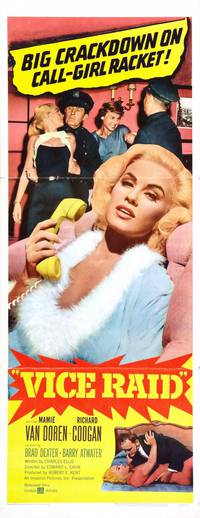 Постер Vice Raid