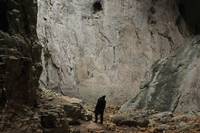 Кадр Путь домой