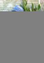 Джо Уорсон фото