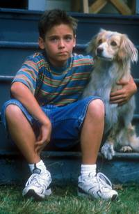 Кадр Новоприбывшие