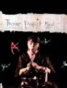 Thunder Perfect Mind