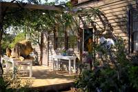 Кадр Приключения Мии и белого льва 