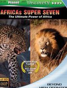 Великолепная семерка Африки