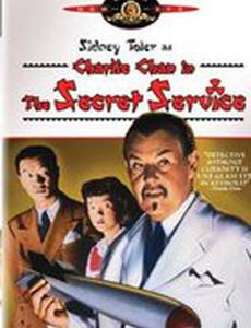 Секретная служба