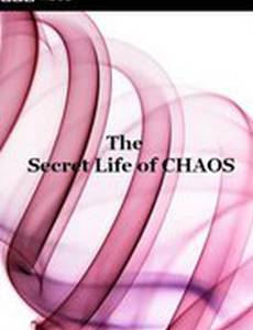 BBC: Тайная жизнь хаоса