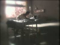 Кадр Спящий лес