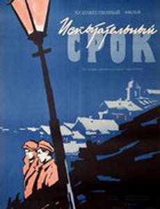 Испытательный срок