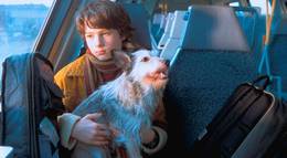 Кадр из фильма "Летающий класс" - 1