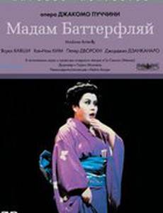 Мадам Баттерфляй