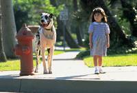 Кадр Матильда