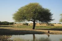 Кадр Рамчанд из Пакистана