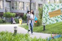 Кадр В поисках мистера Совершенство