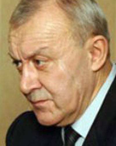 Аркадий Волгин фото