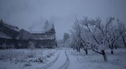 Кадр из фильма "История зимнего сада" - 2