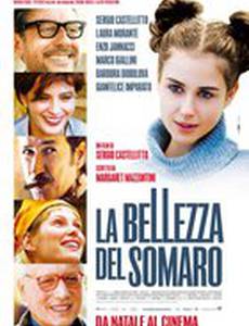 Красота осла