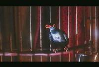 Кадр Твин Пикс: Сквозь огонь