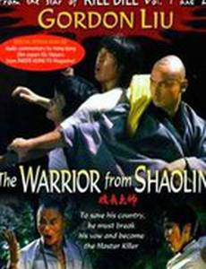 Воин из Шаолиня