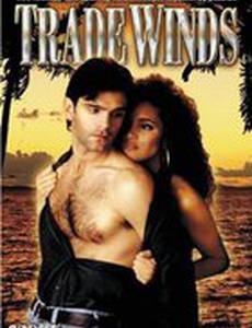 Трэйд Уиндс (мини-сериал)
