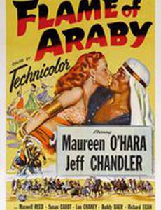 Пламя Аравии