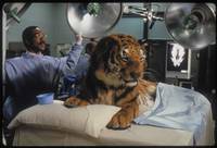 Кадр Доктор Дулиттл