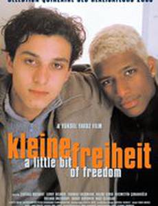 Немного свободы