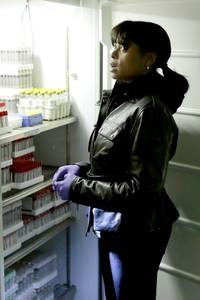 Кадр В поле зрения