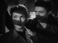 Кадр Собачья жизнь