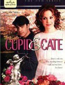 Стрелы Амура