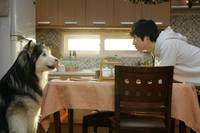 Кадр Наш город