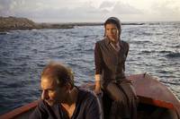 Кадр Перелетные свиньи