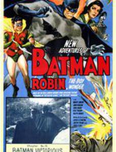 Бэтмен и Робин