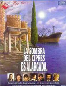 У кипариса длинная тень