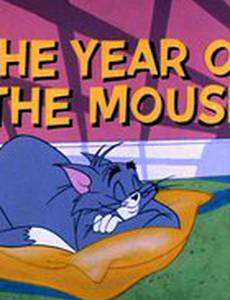 Доигрались