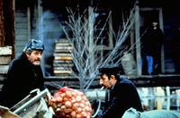 Кадр Прерванный шаг аиста