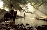 Кадр Семь мечей