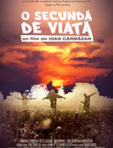 O secunda de viata