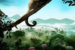 Амазония: Инструкция по выживанию 3D