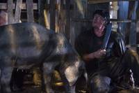 Кадр Рэмбо IV