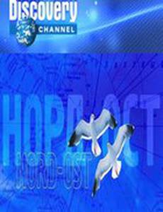 Московская осада