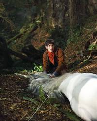 Кадр Мерлин