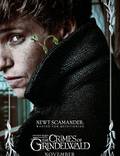 Постер из фильма "Фантастические твари: Преступления Грин-де-Вальда" - 1