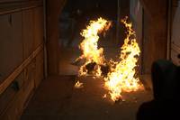 Кадр Добыча