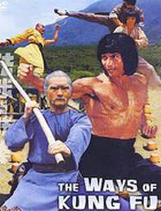 Разные пути кунг-фу